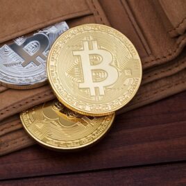 Bitcoin in wallet at Alman Partners True Wealth Bitcoin in wallet at Alman Partners True Wealth