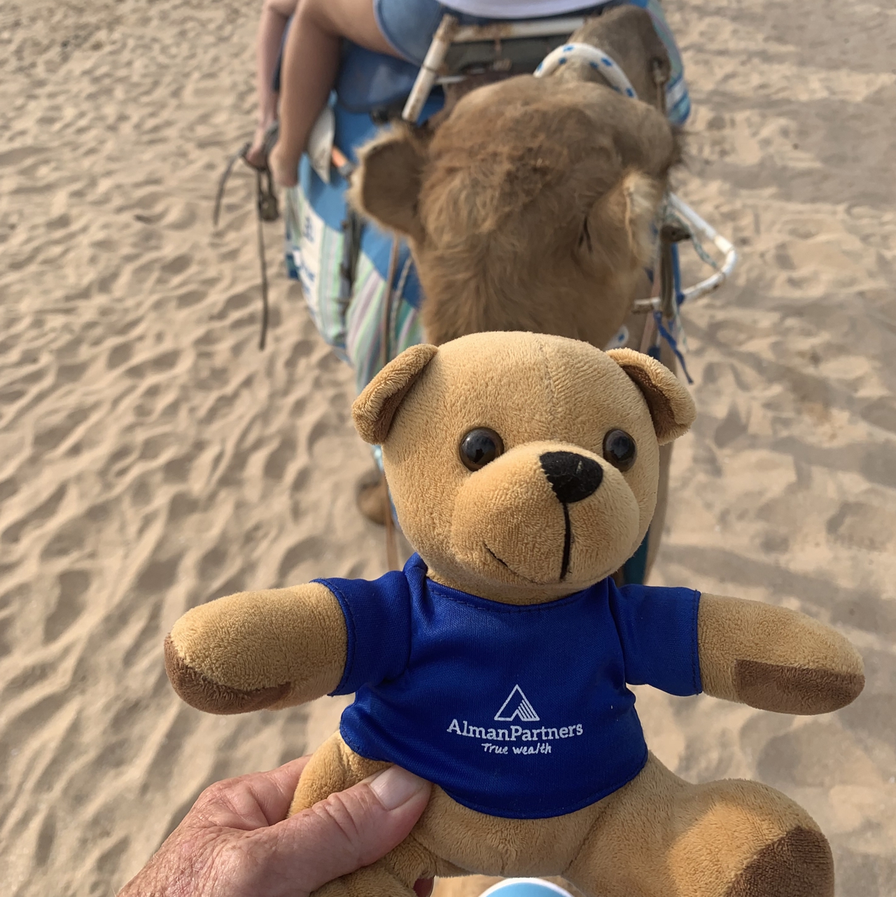 Barratt, S&P(Broome) AP Bear at Alman Partners True Wealth Mackay & Brisbane