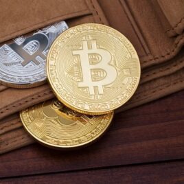 Bitcoin in wallet at Alman Partners True Wealth Bitcoin in wallet at Alman Partners True Wealth