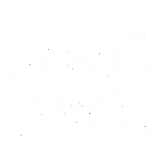 Hammock between palm trees – Financial advice on retirement planning and achieving financial freedom